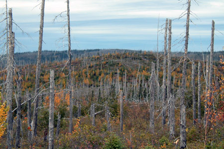 Montagne brul&eacute;e